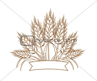 Vector illustration of gold ripe wheat ears. Icon, Logo or design element