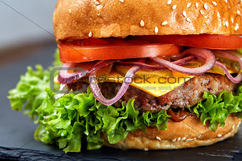 Classic hamburger macro with black background and selective focus