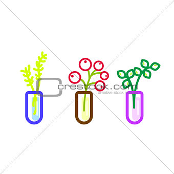 Flowers in glass flasks vector icons.