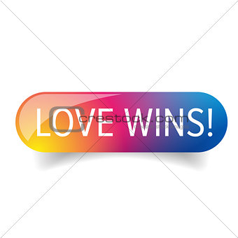 Love wins - Lgbt rainbow button