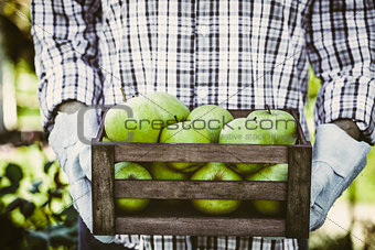 Farmer with apples