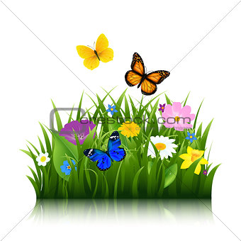 Summer Flowers With Butterfly