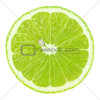 slice of lime citrus fruit isolated on white