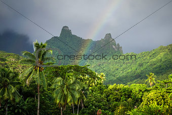 Rainbow on Moorea island jungle and mountains landscape