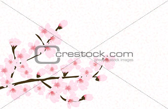 Abstract Floral Sakura Flower Japanese Natural Background Vector