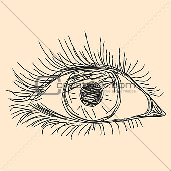 Human eye sketching