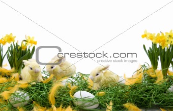 Easter arrangement