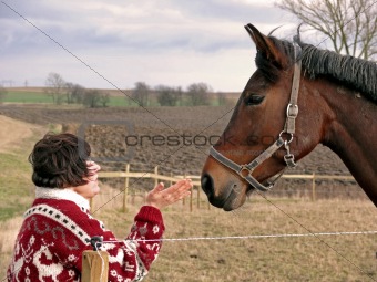 Talking To Horses