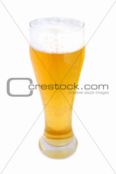 Pint of beer isolated on white