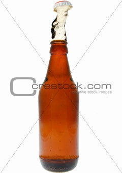beer bottle with beer exploding upwards