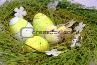 green nest with bird and eastereggs