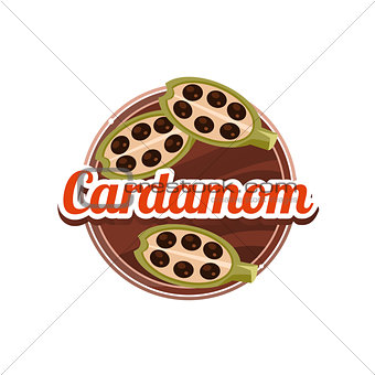 Cardamom Spice. Vector Illustration.