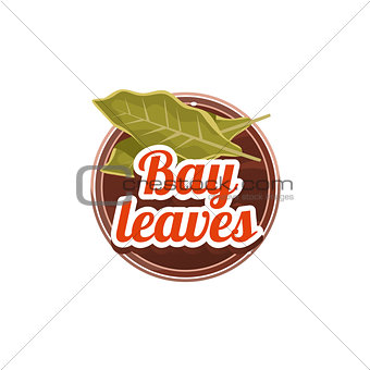 Bay Leaves Spice. Vector Illustration.