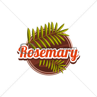 Rosemary Spice. Vector Illustration.