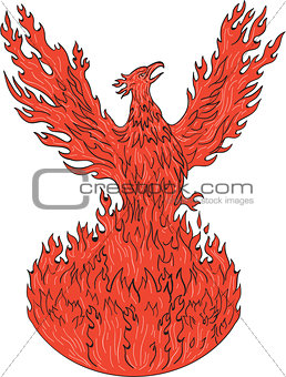 Phoenix Rising Fiery Flames Drawing