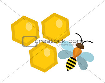 Honeycomb and bee icon, flat style. Isolated on white background. Vector illustration, clip-art.