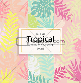 Set of modern tropical background for your design.