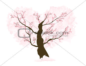 Abstract Floral Sakura Flower Japanese Tree Natural Background V
