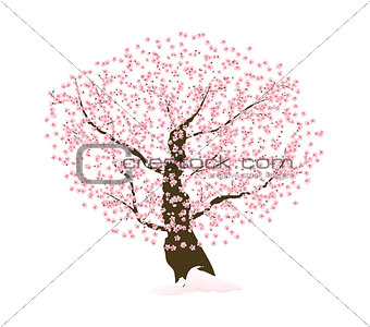 Abstract Floral Sakura Flower Japanese Tree Natural Background V