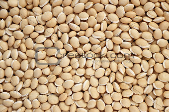 Bitter neavy beans background