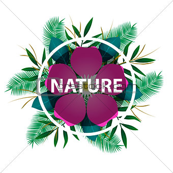Tropical exotic leaves and branches composition with lettering.