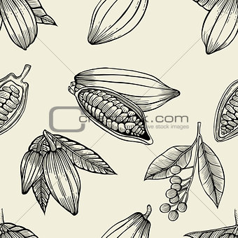 cocoa beans and leaves.