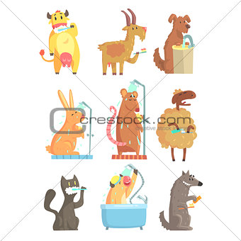 Funny animals taking a shower and washing, set for label design. Hygiene and care cartoon detailed Illustrations