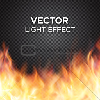 Vector fire flames on transparent background