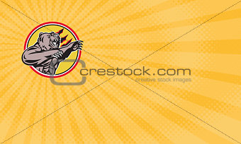 Angry Grizzly Food Supplements Business card 