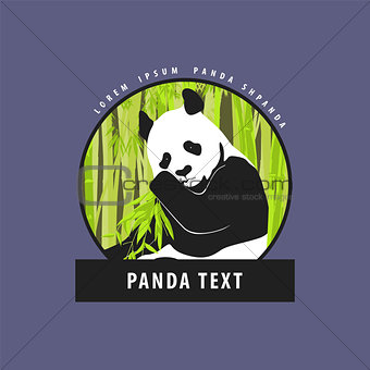 Bright logo with a beautiful panda