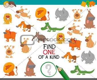 find one of a kind with animals