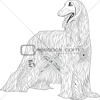 Zentangle stylized Afghan hound. Hand Drawn lace vector illustration