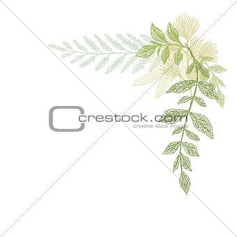 Floral hand drawing, green leaf composition