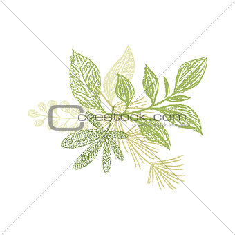Floral hand drawn composition, plant leaves