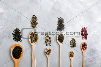 Wooden spoons with different tea leaves on grey concrete backgro