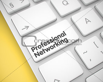 Professional Networking - Text on the White Keyboard Key. 3D.