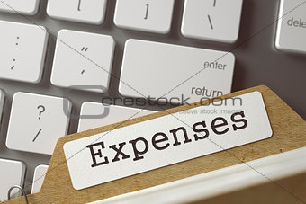Card File - Expenses. 3d.