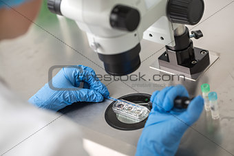 Checking result of in vitro fertilization