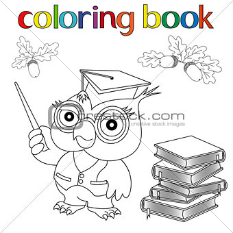 Set of Professor Owl, books and acorns for coloring book