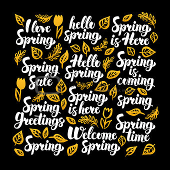 Hello Spring Calligraphy Design