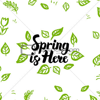 Spring is Here Greeting Postcard