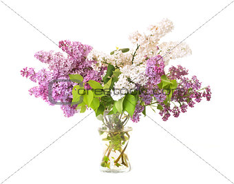 bouquet of  lilac