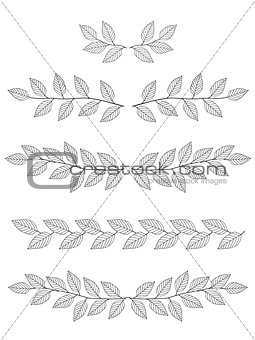 set of branches dividers