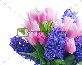 hyacinths and tulips
