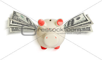A white piggy bank with wings of paper dollars