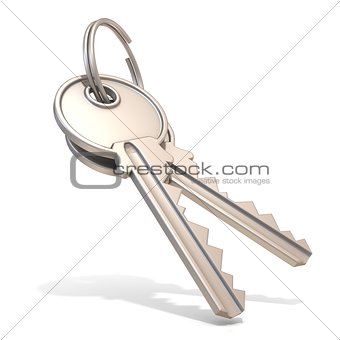 A pair of steel house keys