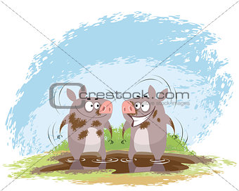 Two boars in mud