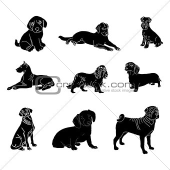 Vector silhouettes of dogs of different breeds