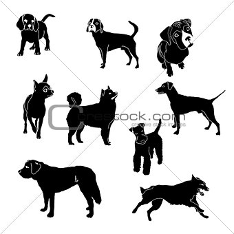 Vector silhouettes of dogs of different breeds