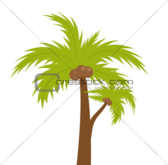 Palm tree. icon flat, cartoon style. Summer, beach concept isolated on white background. Vector illustration, clip-art.